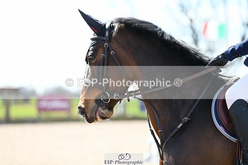 250328-123543-01003 - Cls 3 Snr Foxhunter
