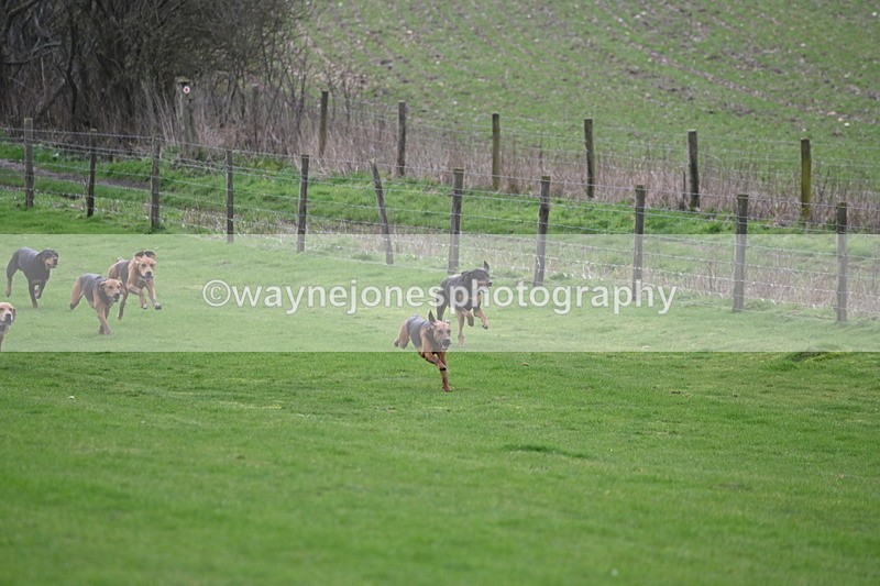 WJ6_8963 - Line Three