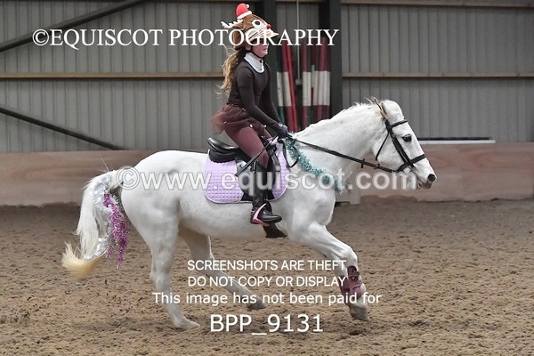 BPP_9131 - CLASS 3 50CM-70CM Pairs Show Jumping