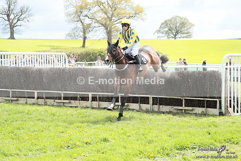 PtP 180426 317 - Worcestershire Hunt PtP Chaddesley Corbett 18/04/26