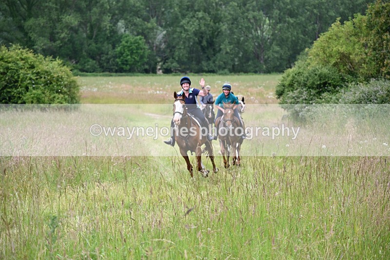 WJ6_8174 - Camera 1 Gallops