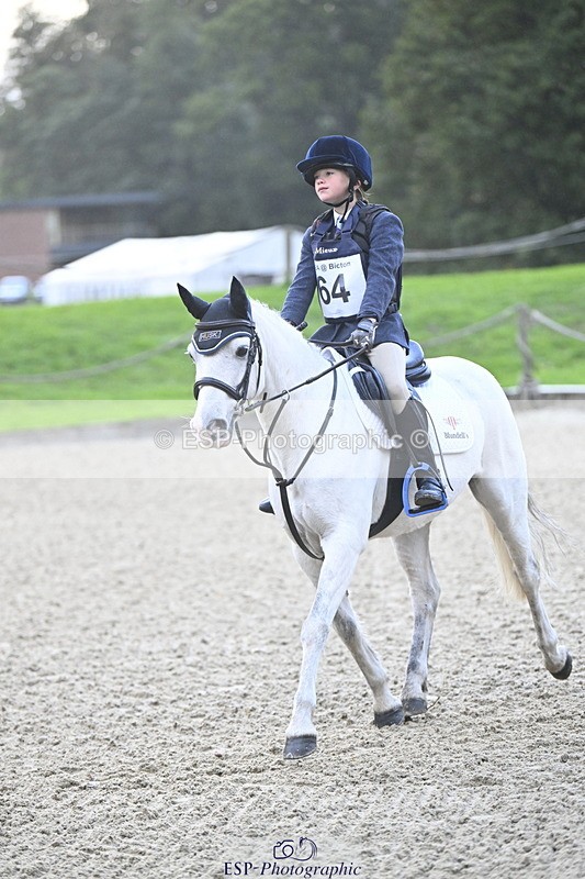 251005A-081211-02718 - Cls 01 GR 40cm