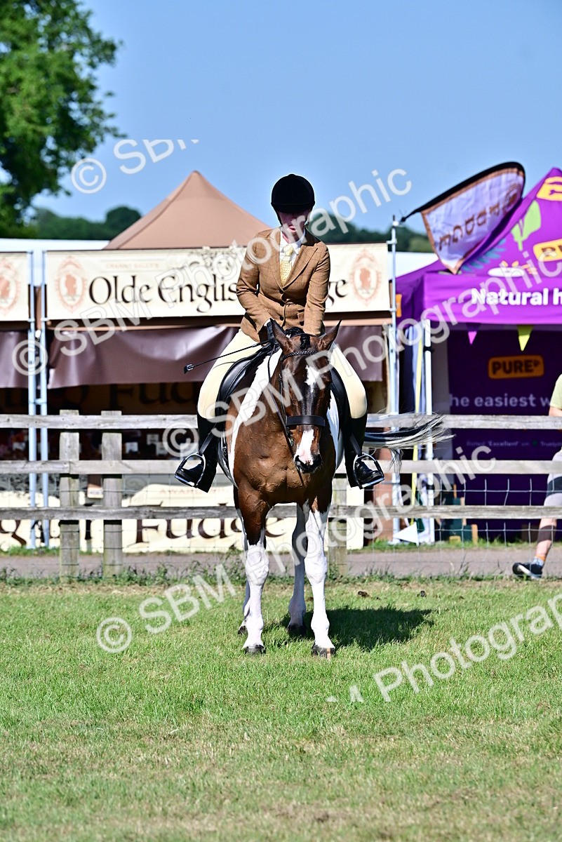 SBM_19508 - Class 101-102 - BSPS LIHS Performance Coloured Horse/Pony