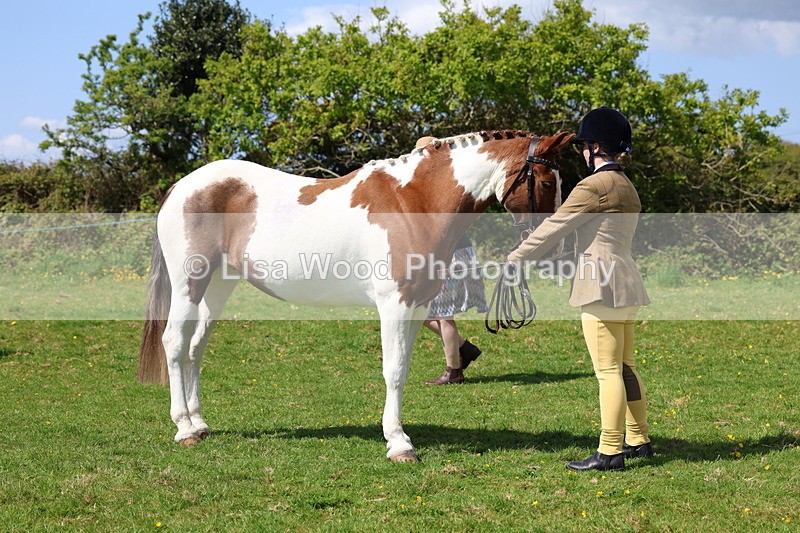 3E7A0365 - Class 19: Best Coloured in Hand