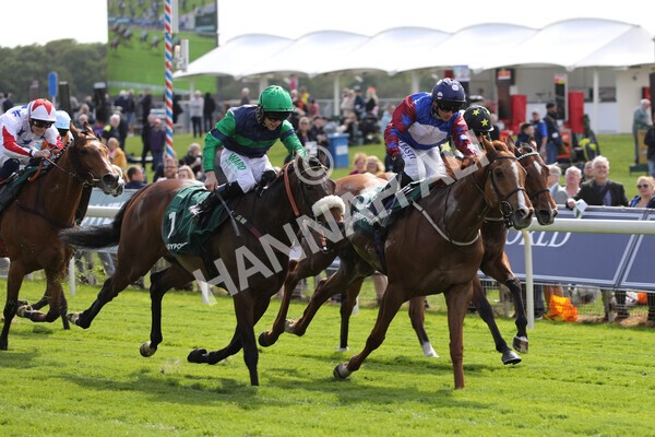 yr12052022r3-27 - Race 3 3.00pm The Paddy Power Hambleton Stakes