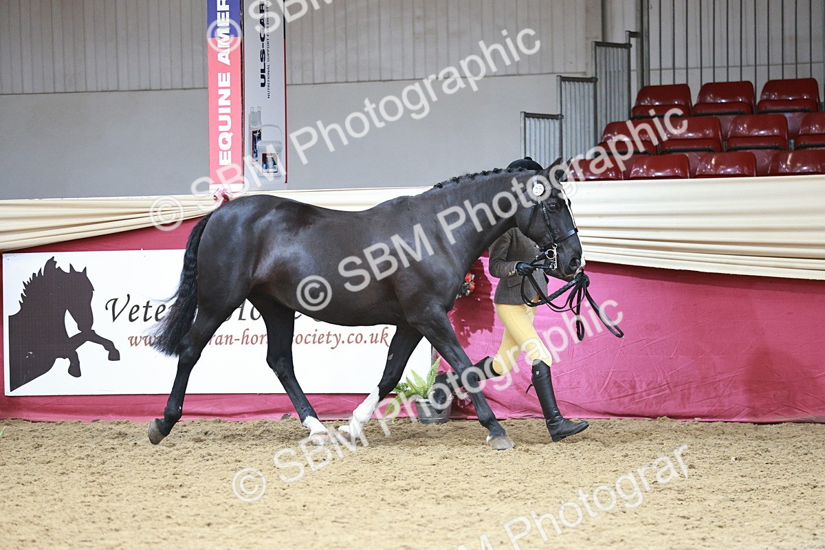 SBM_04685 - Class 7R - Regional IH Diamond