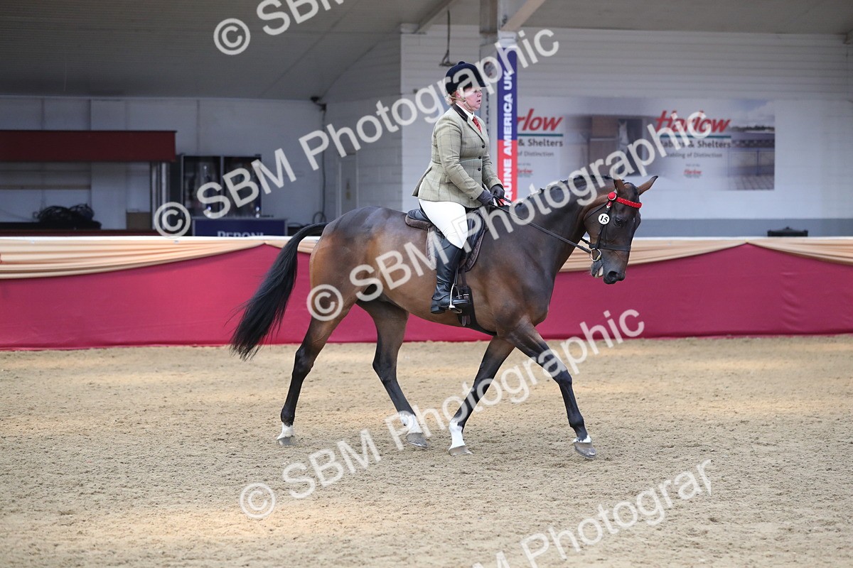 SBM_12379 - Class 108 Ridden Retired Racehorse- Pre Judging