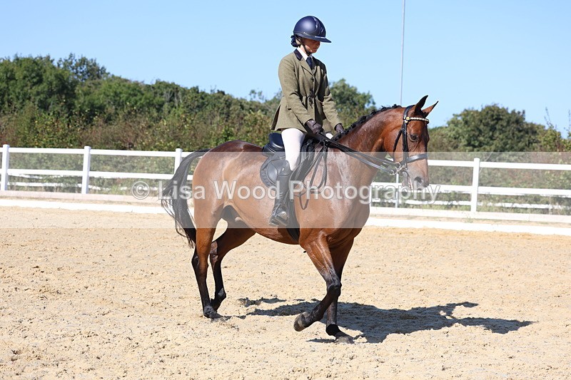 3E7A5730 - Class 10: Riding Horse