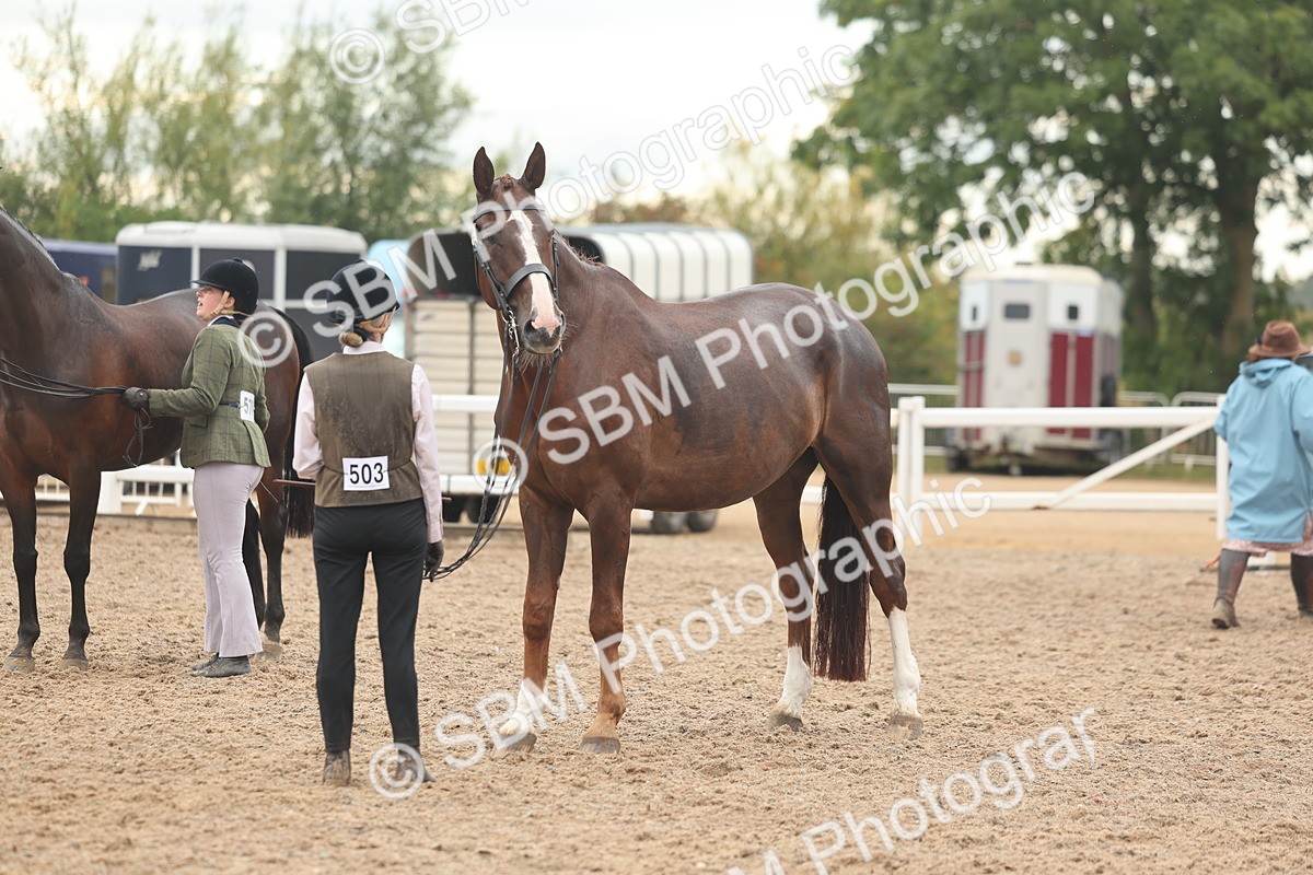 SBM_07766 - Class 27 - IH Competition Horse/Pony