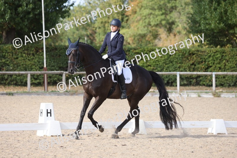 20250820-1592 - Class 21 - Advanced Medium 5