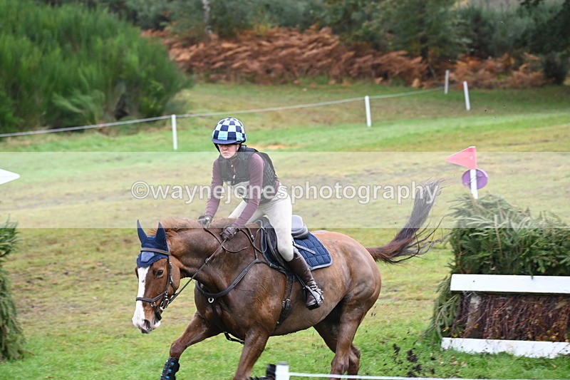 WJ6_1677 - 80cm Cam 1 Time 10:08 to 10:45