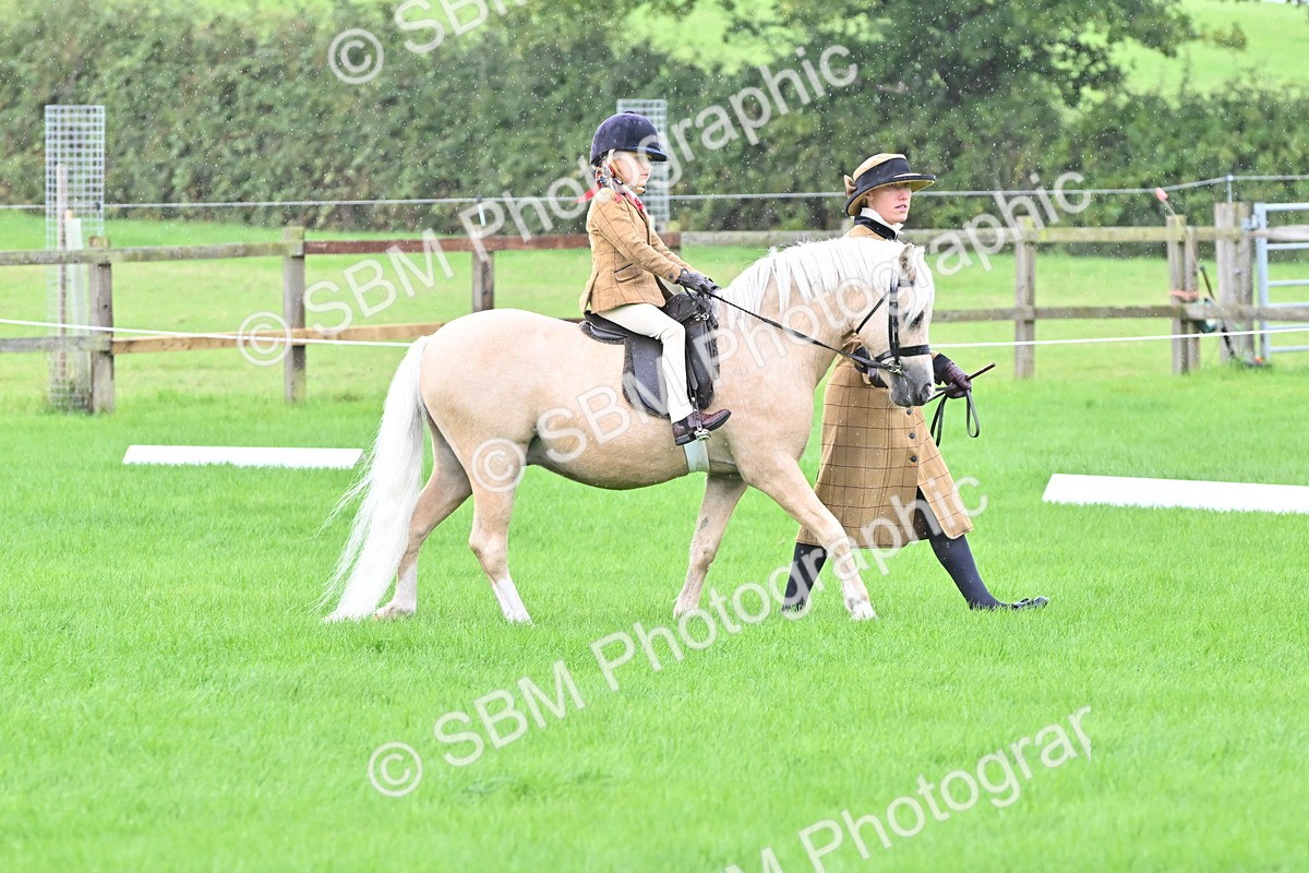 SBM_40112 - S20 - Lead Rein Mountain & Moorland Pony