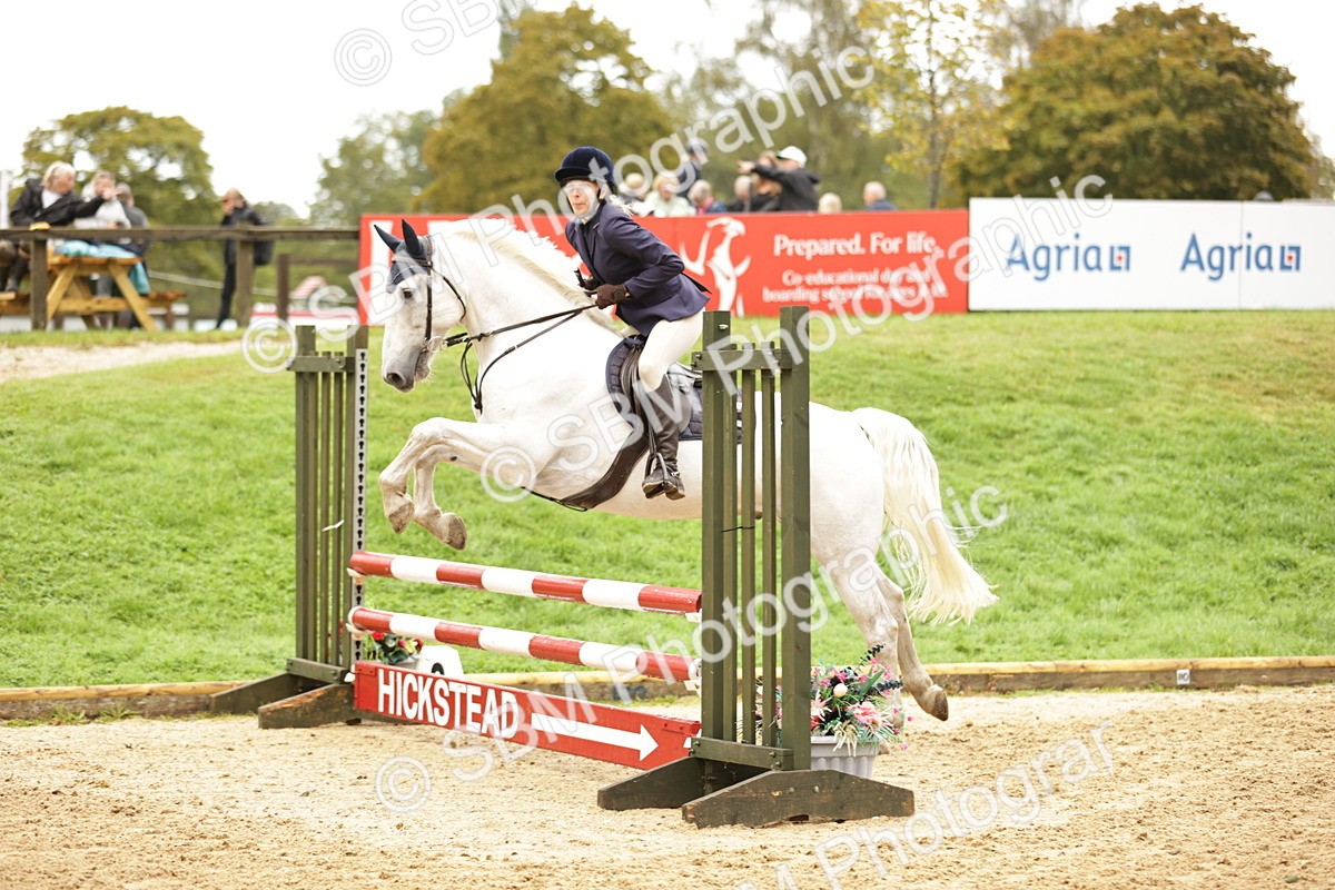 SBM_33045 - J38 - Senior Horse & Pony 80cm Championship
