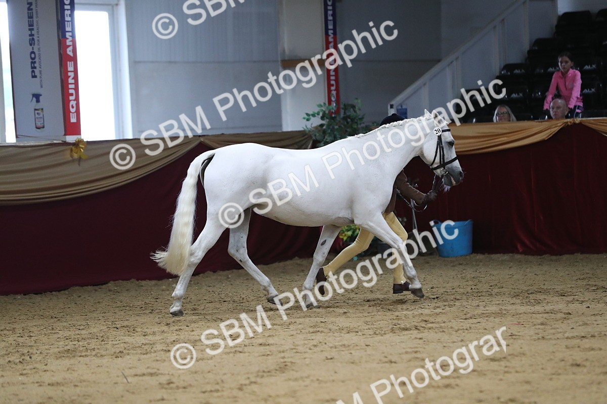 SBM_05024 - Class 8R- Regional -IH Veteran