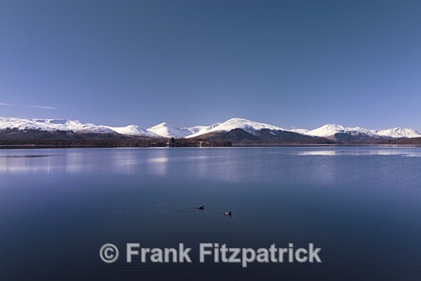 Loch Lomond, winter. - Scottish scenics