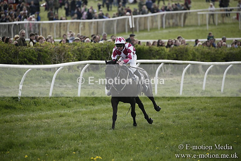 PtP 170417 349 - Old Berks Point-to-Point Lockinge 17/04/17