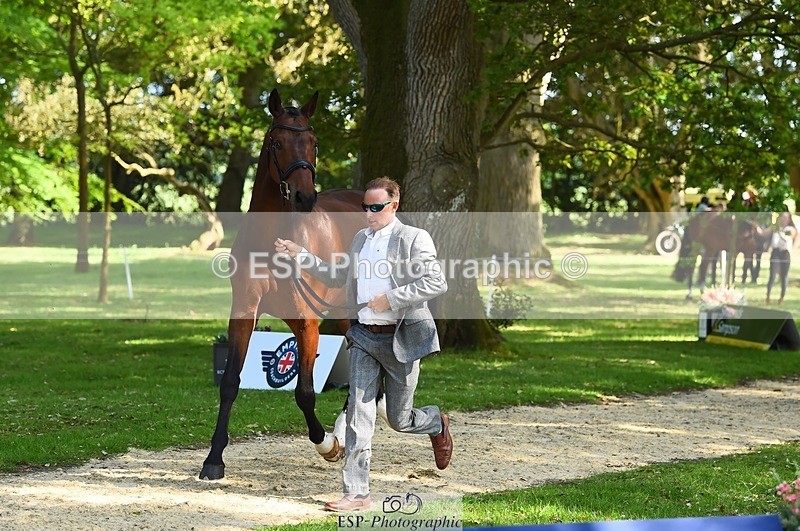 230524-164920-01112 - 162-MONBEG_GOLD_DUST-Michael_Owen-WEDTrotUp+DR