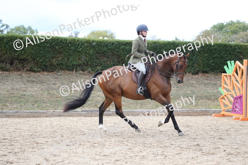 20260831-2609 - Class 15 - Ridden Retraining of Racehorses