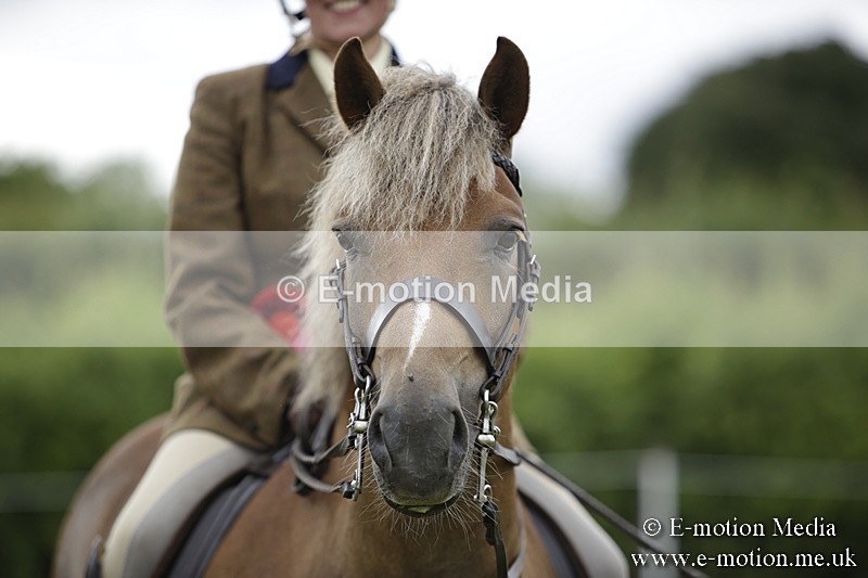 BVR160717-2134 - Ridden Championship 16/07/17