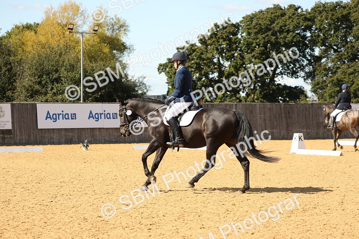 SBM_24503 - D17 - Grand Tour Championship - Novice 27