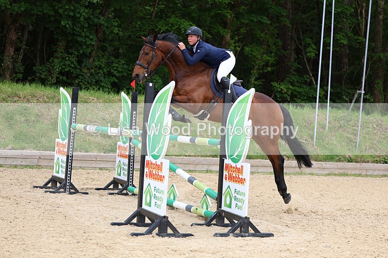 3E7A9696 - Class 9: Senior Foxhunter/1.20 open