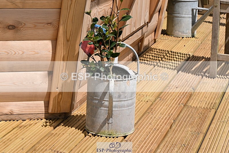 240608A-140425-02701 - Cls 4 Snr Newcomers and 1.10m Open