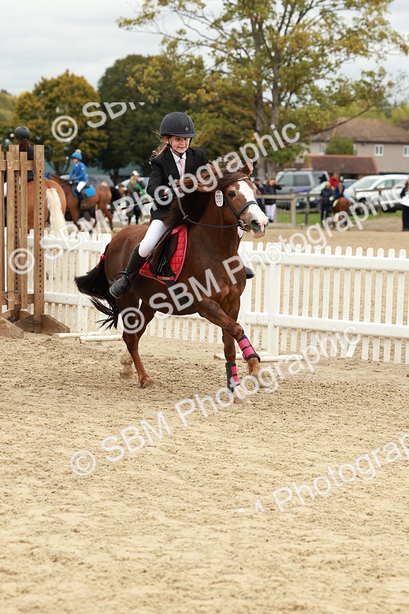 SBM_67093 - J13 - Junior Pony 60cm Championship