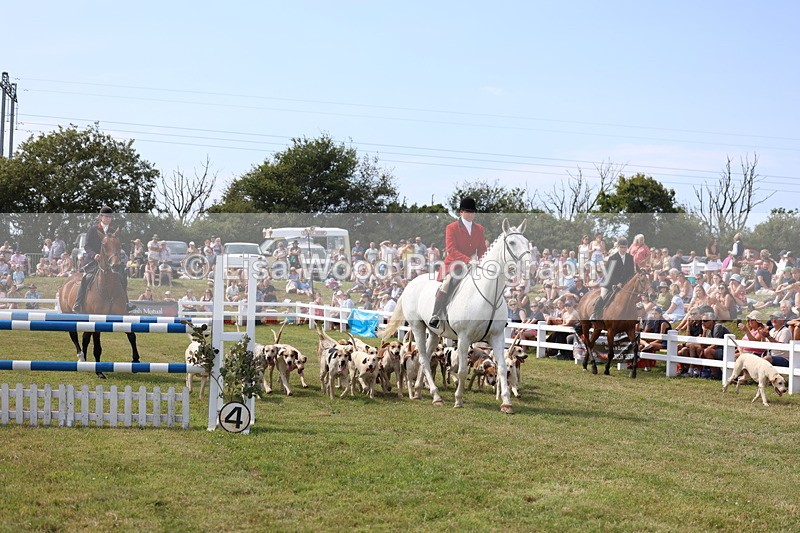 3E7A0133 - Parade of Hounds