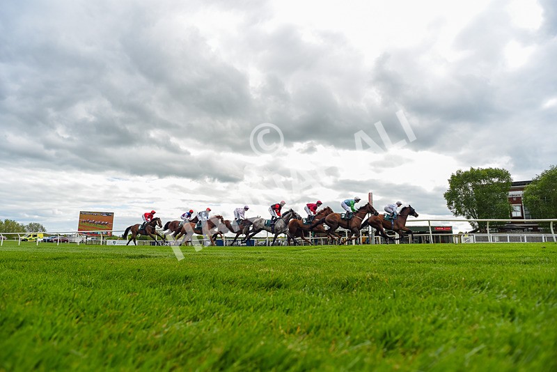 110526-Race 3-Laravie-2427 - Race 3 3.30pm Mick Rose Turns 70 Handicap