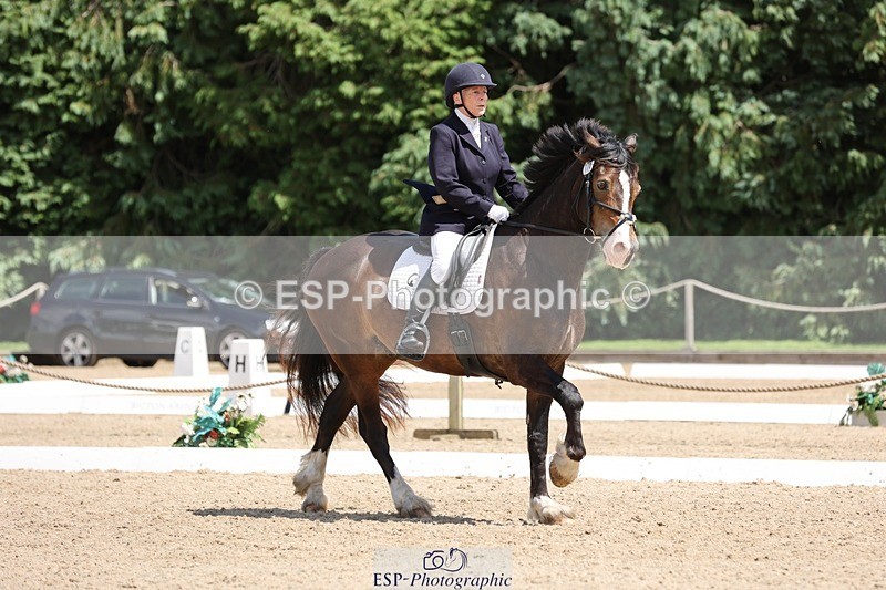 240721-133109-08825 - 176-Amanda_Williams-Llanarth_Westminster