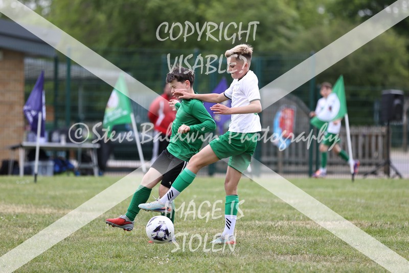 1DX32741 - The Croft V Tregoze