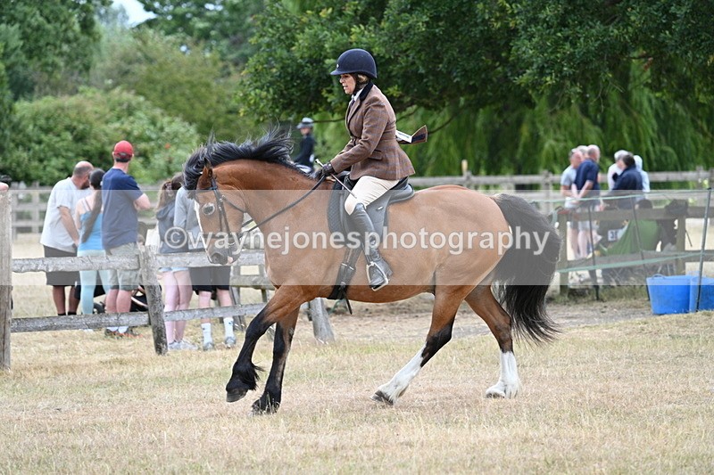 WJ7_0577 - Class 6 Ridden Mountain and Moorland