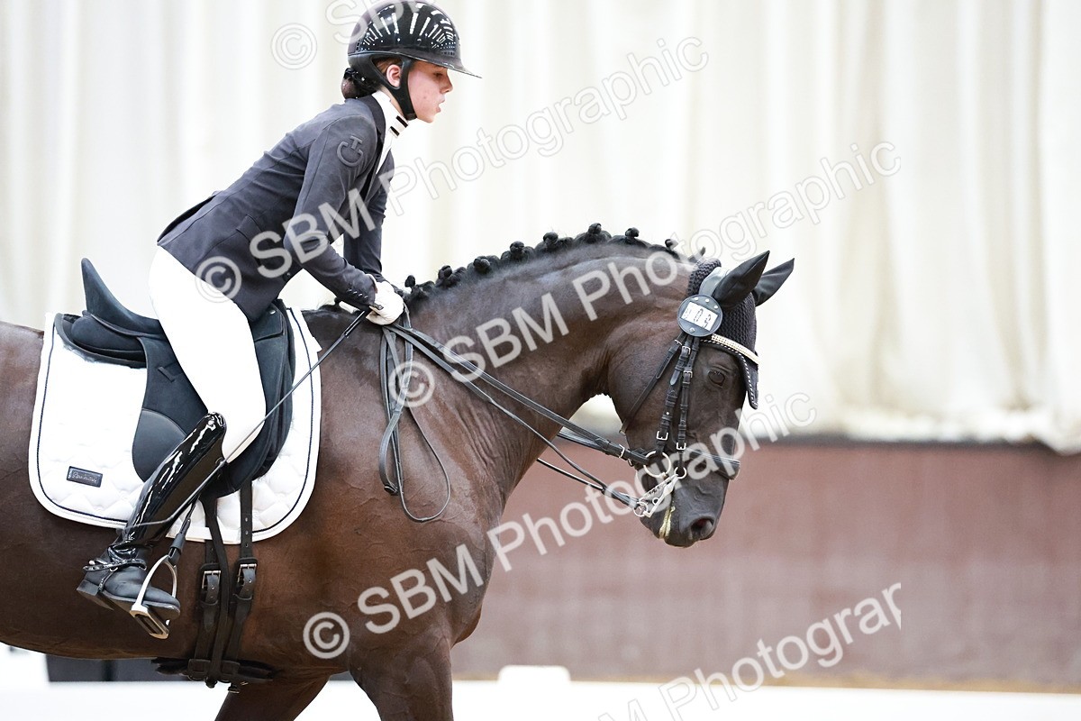 SBM_017773 - Class 15 - FEI Junior