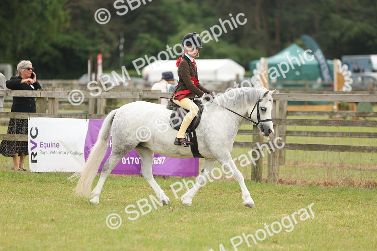 SBM_06925 - Class 74-75 - M&M Lead Rein and First Ridden Pony