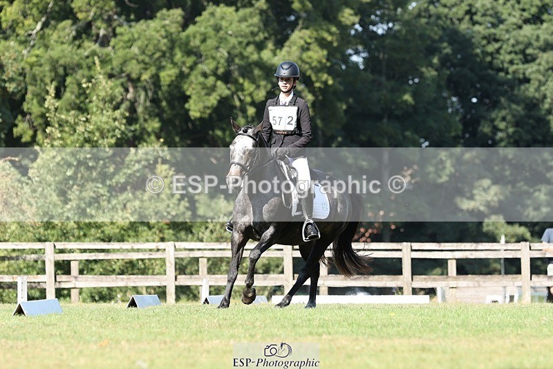 250823A-101920-26824 - Arena D