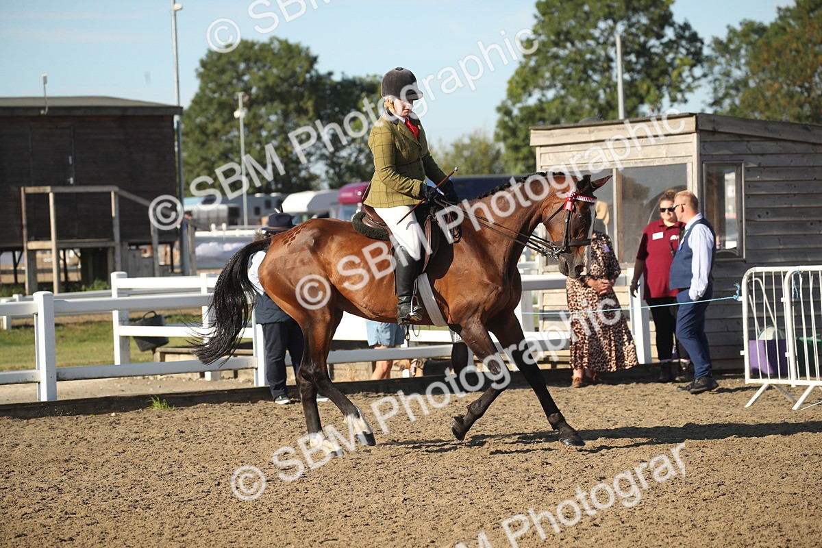 SBM_11289 - Class 501 -Riding Club Pony