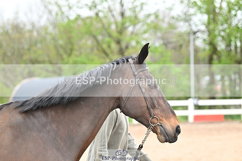 250423-160329-01916 - 4pm to 5pm