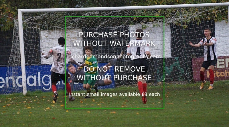 DSC02361 - Runcorn Linnets