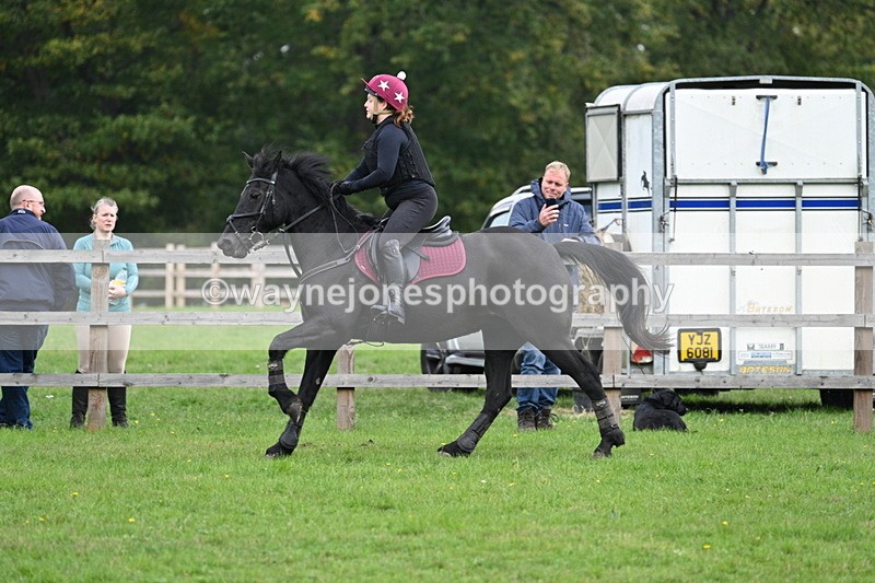 WJ7_4481 - 60cm Time 10:52 to 11:02