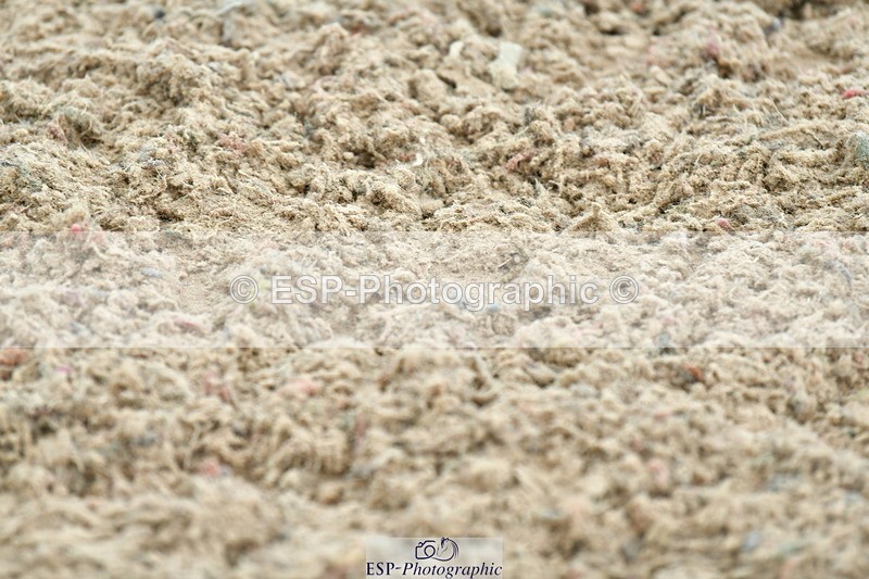 230721A-133010-06572 - Cls 14, 1 Star Bronze 1.10m