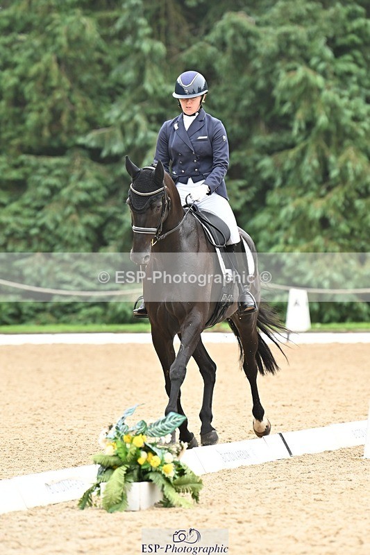 240811-115924-05317 - 118-Katie.Kneen-Springtime.Evergreen