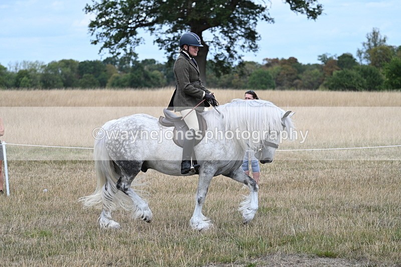 WJ7_4765 - Class 12 Ridden Cob