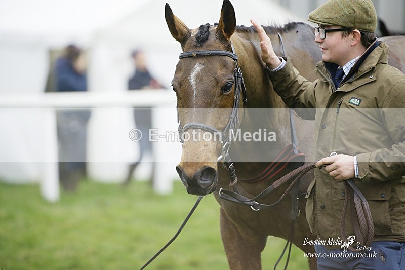 PtP 200222 137 - Countryside Alliance PtP Badbury Rings 20/02/22
