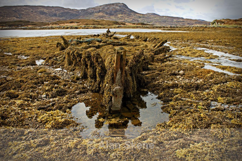 DSC04083 - Skye