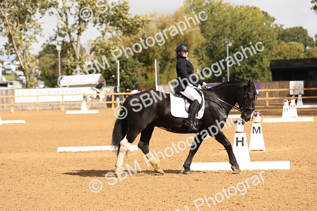 SBM_40561 - D6 - Small Tour Championship Intro 4