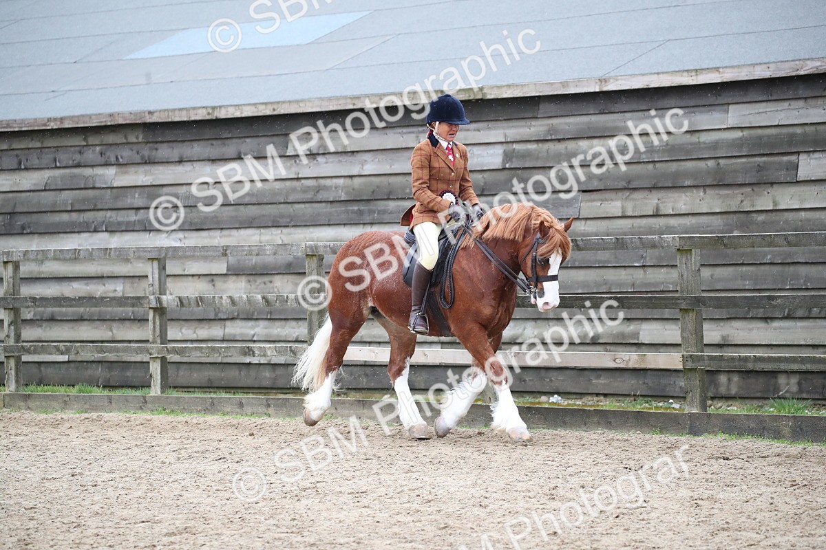 SBM_007334 - Class 10-13 - RIHS Small Large Breeds
