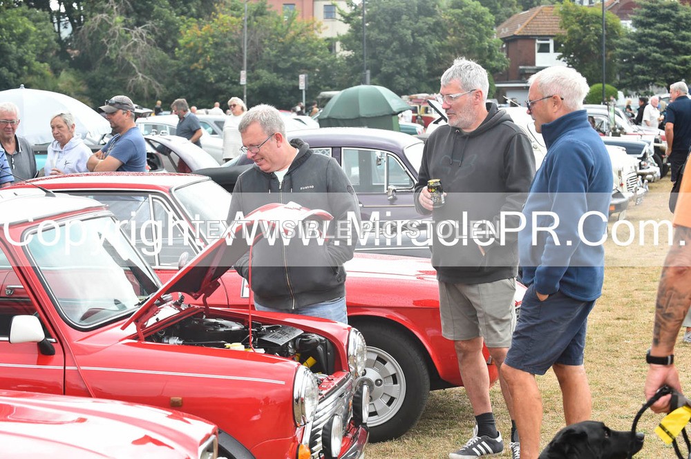 SH4_8819 - Torbay Old Wheels Club