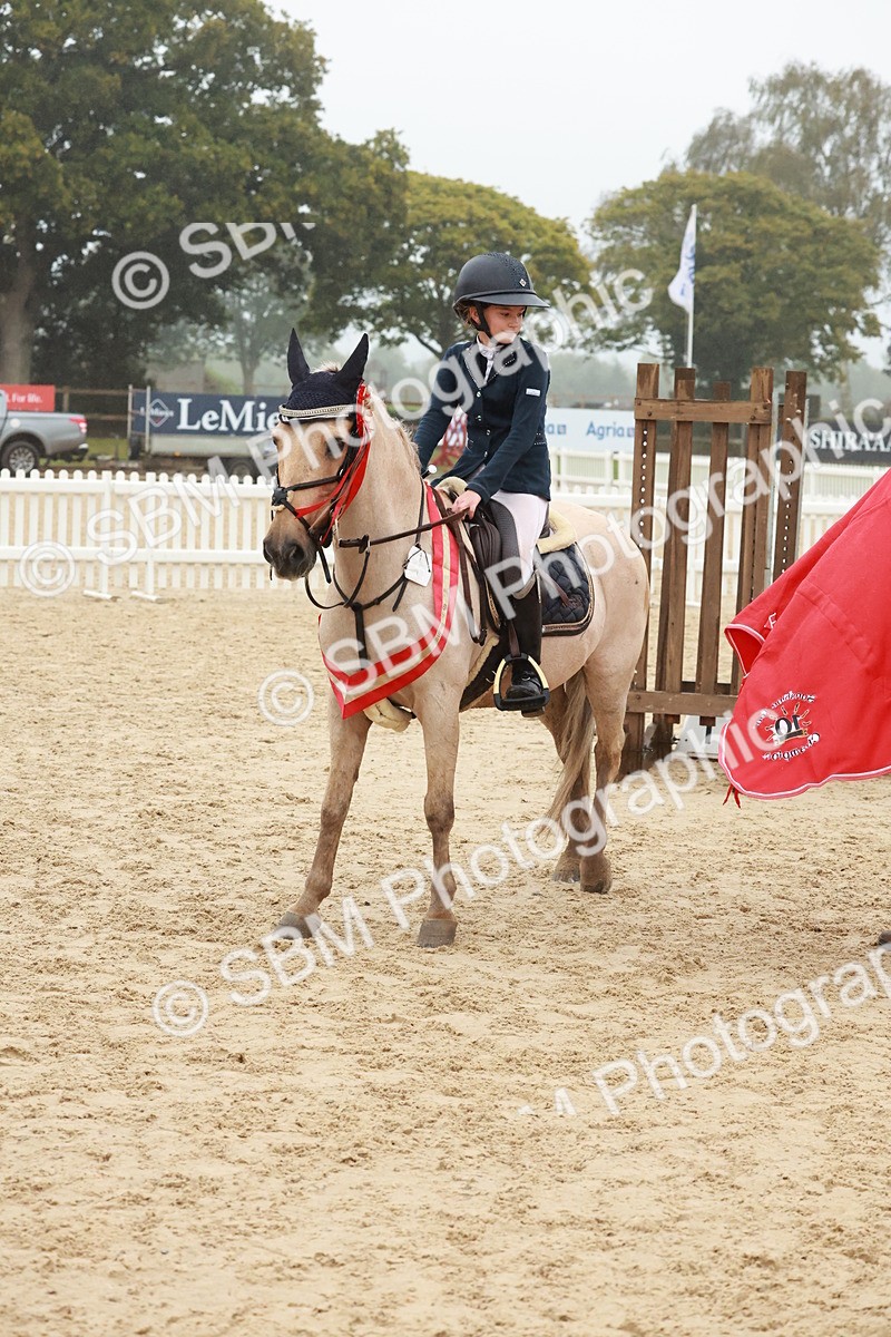 SBM_73513 - Supreme Championship Junior Pony 60cm & 65cm