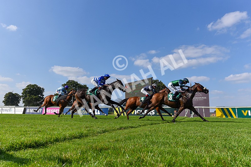 300824-Race 4-Tinto-5244 - Race 4