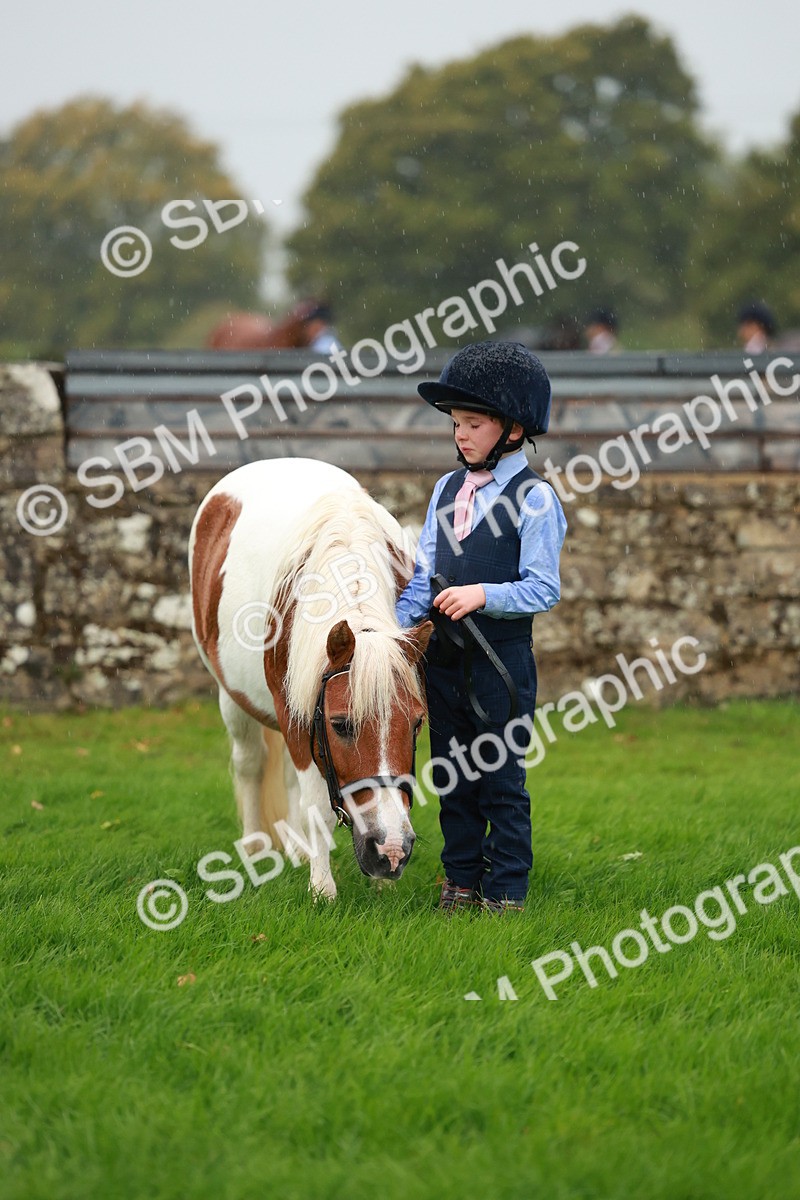 SBM_34920 - S10 - Best In Hand Horse & Pony